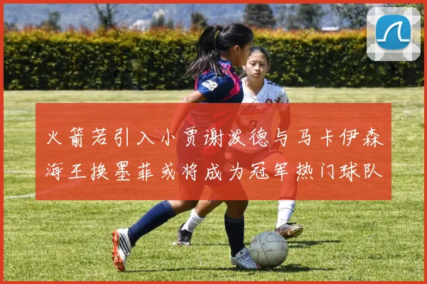 火箭若引入小贾谢泼德与马卡伊森海王换墨菲或将成为冠军热门球队
